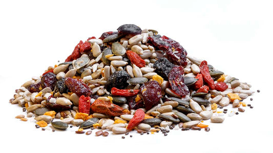 Seeds and Berry Mix Online in India