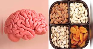 Dry Fruits for Brain Health: Boost Memory and Focus Naturally