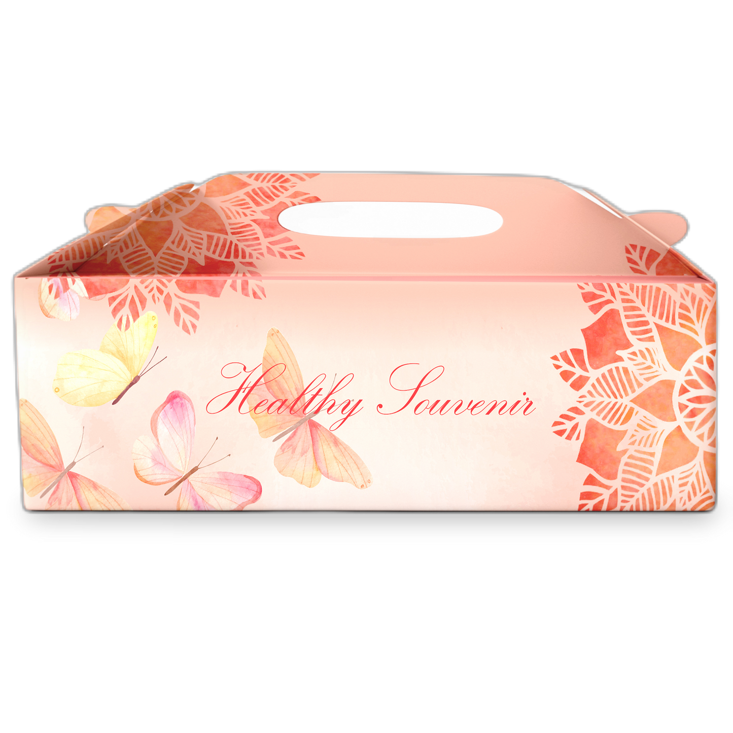 Healthy Souvenir Nuts Combo - Dry Fruit Gift Box