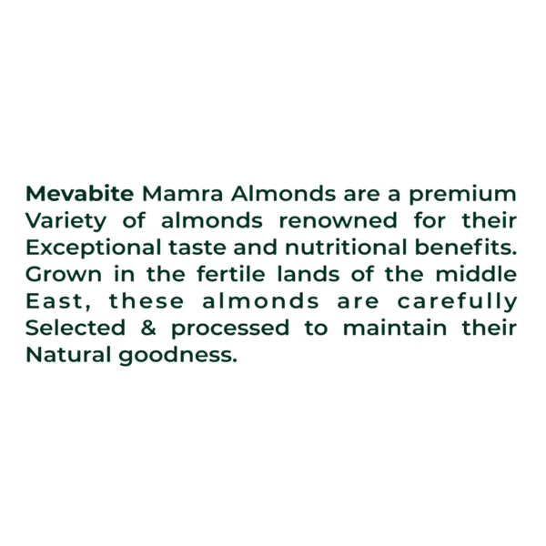 Regular Mamra Almond - Image 8